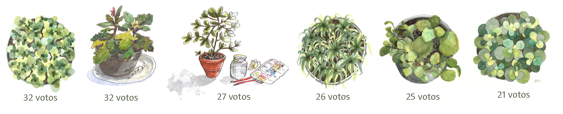 plantas_votacao.jpg